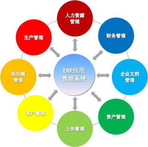 上海企業(yè)軟件開發(fā) 機(jī)遇、挑戰(zhàn)與發(fā)展趨勢(shì)