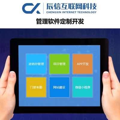 辰信互聯(lián)網(wǎng)科技 專業(yè)企業(yè)軟件開發(fā)，驅(qū)動數(shù)字化未來