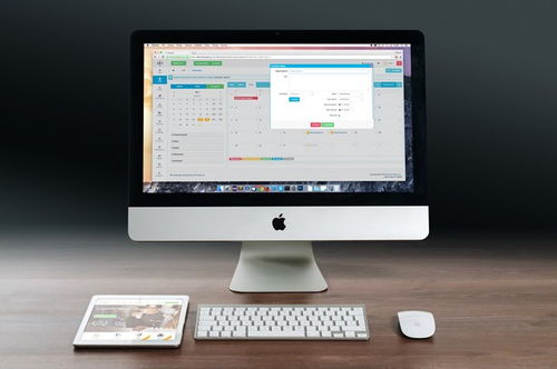 從概念到實(shí)施 深入解析App開發(fā)、定制開發(fā)與企業(yè)軟件構(gòu)建